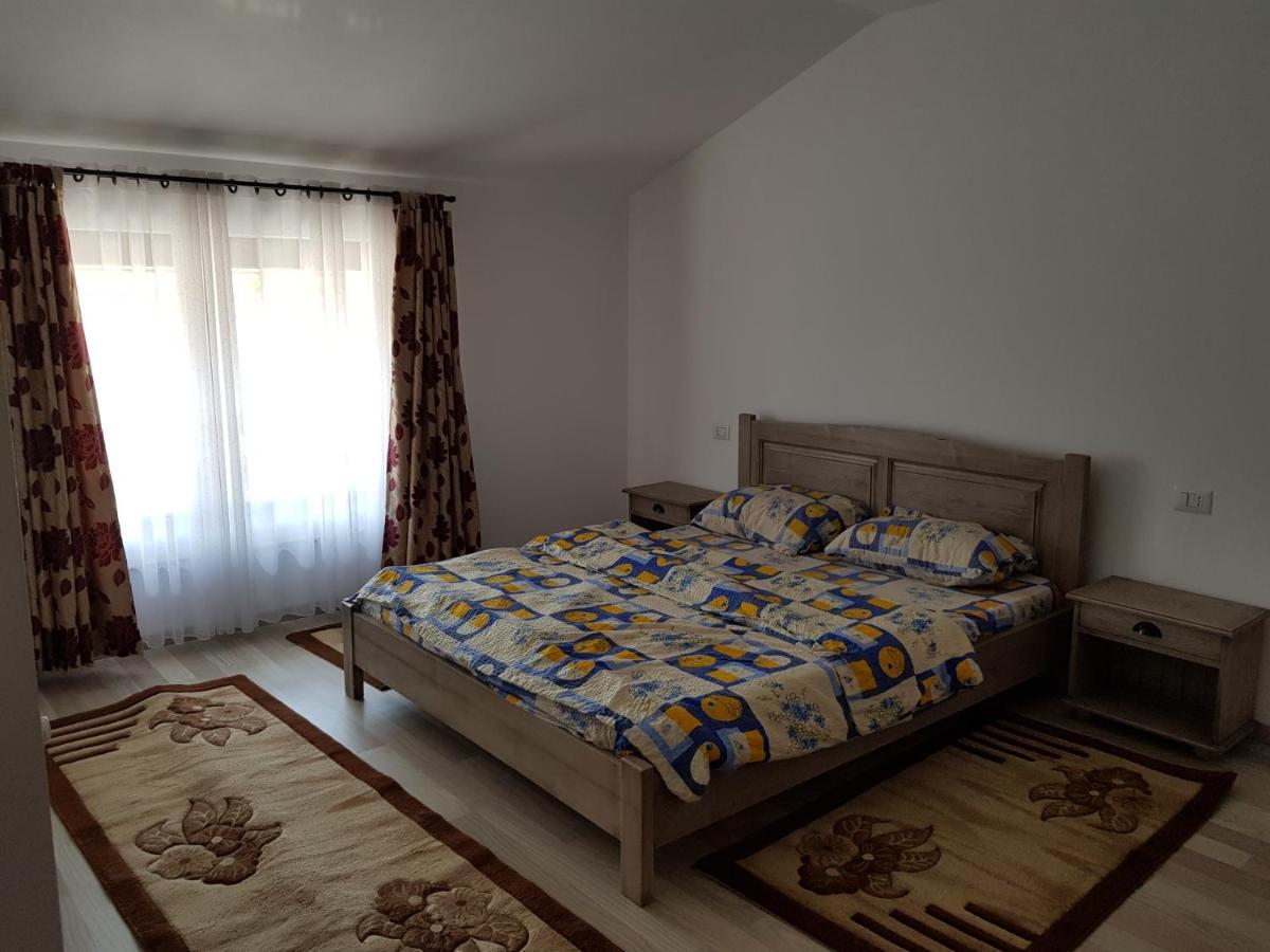 Autovilas Borşa Exteriér fotografie